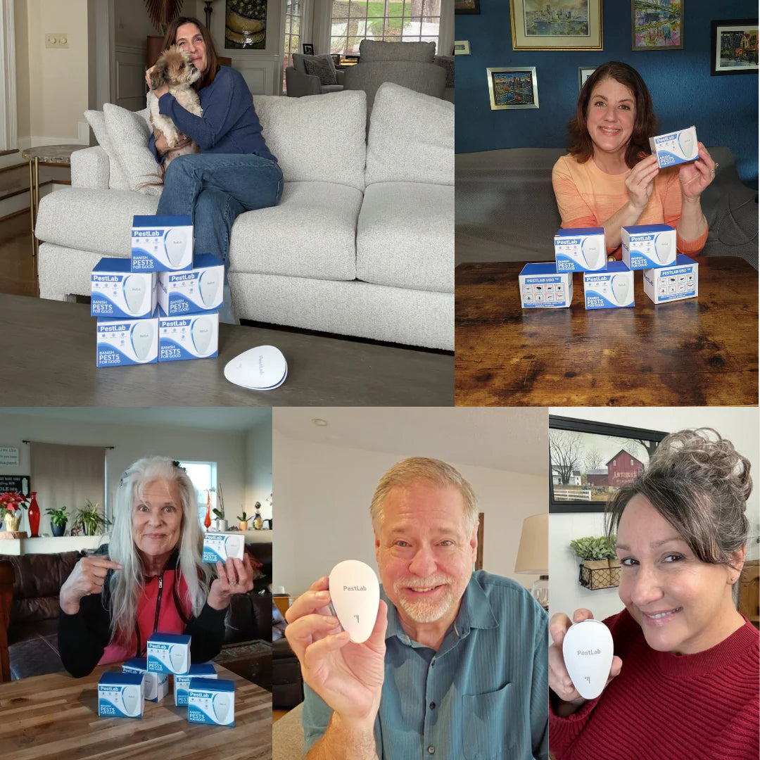Repel Lab™ - Ultrasonic Pest Repeller